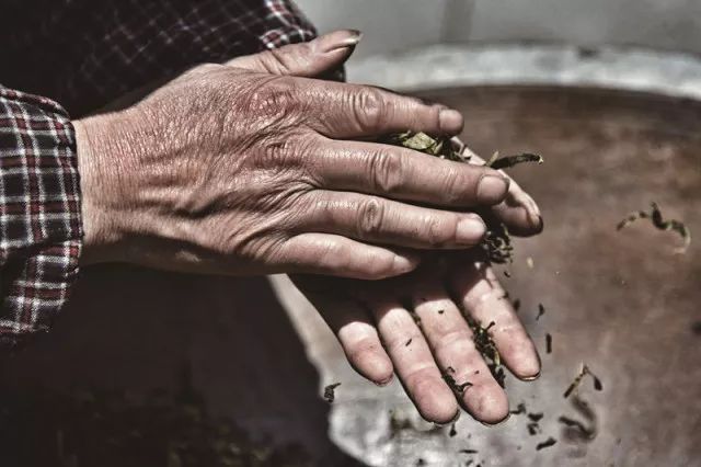 四月寻茶|除了云南普洱、西湖龙井，别小看贵州的这八道茶！