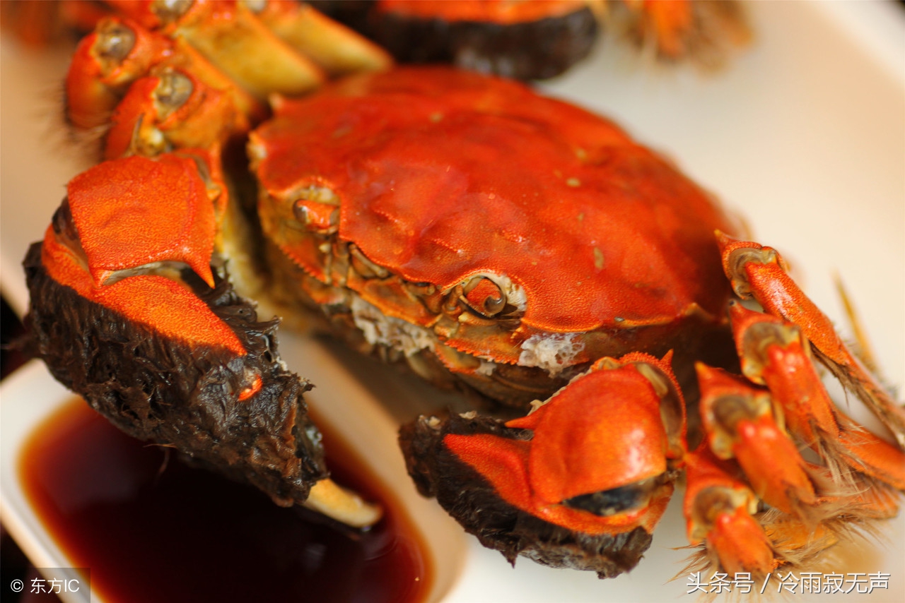 秦皇岛阿那亚海鲜攻略,秦皇岛海鲜攻略