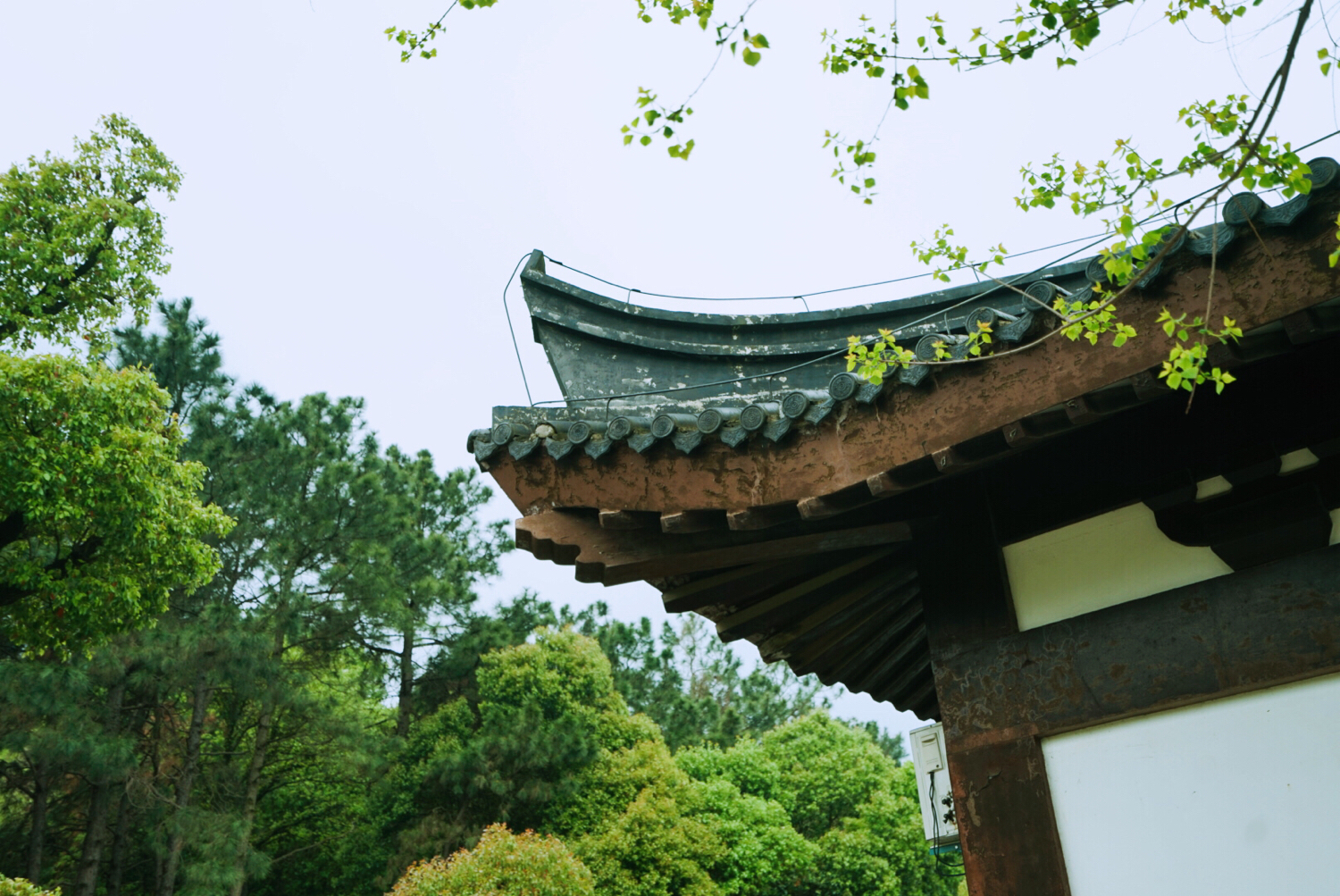 苏州群山最高之峰,苏南第一峰海拔高度