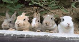 龙华好吃的美食推荐排行榜第一,龙华好吃的美食推荐3人套餐