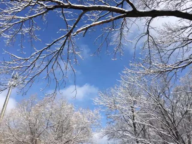 鎴戠殑瀹朵埂纾愮煶浠嬬粛,鎴戠殑瀹朵埂纾愮煶鐭冲拃