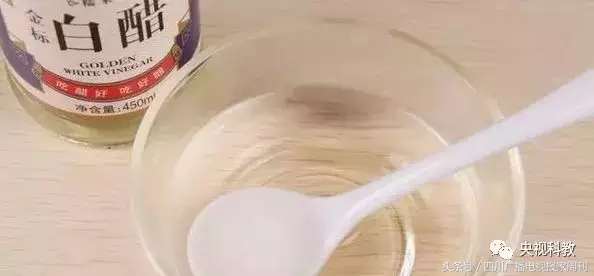 醋水和绿植哪个除甲醛快,除味除甲醛绿植用水怎么培养