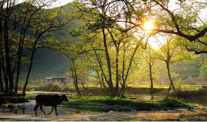 故乡故土,故乡难回故土难