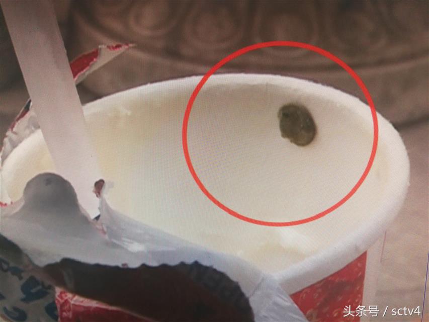 酸奶盖上有绿毛咋回事,酸奶上的绿色霉菌