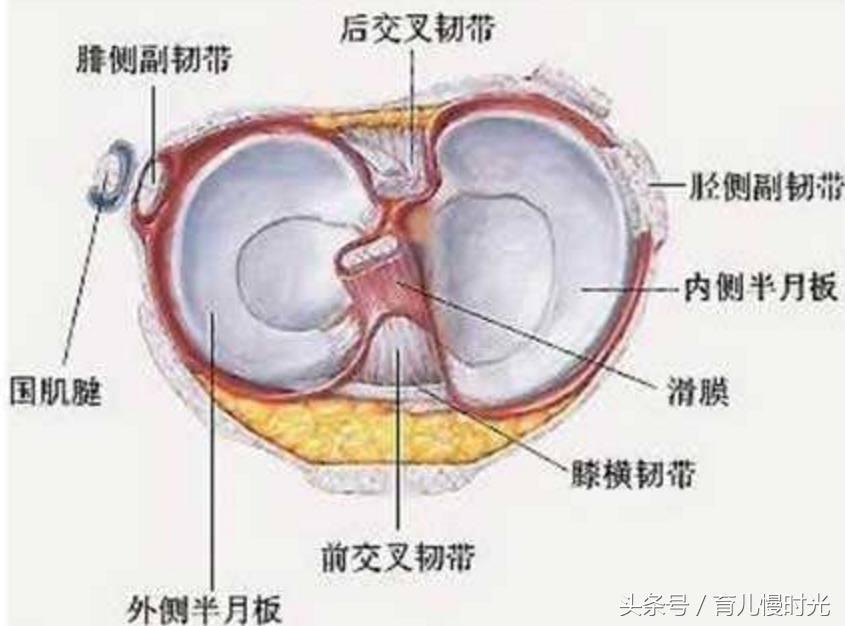 看孩子太磨人！浑身各处疼痛的缓解办法，宝妈和奶奶们快收藏