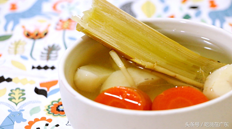 茅根鱼腥草甘蔗胡萝卜马蹄水功效,咳嗽发高烧可以喝甘蔗茅根马蹄水