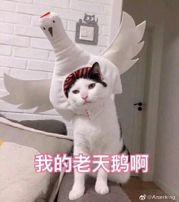 【三分钟法治新闻全知道】他们可能是离中南海最近的一群人,有点话要对你说