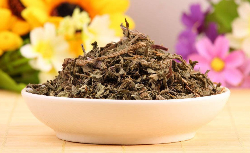 婆婆丁是蒲公英的别名,婆婆丁的学名是蒲公英吗