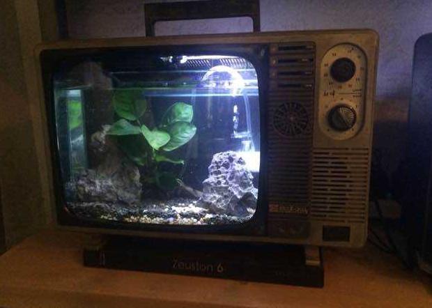 旧电视显像管改鱼缸,老电视机改装鱼缸