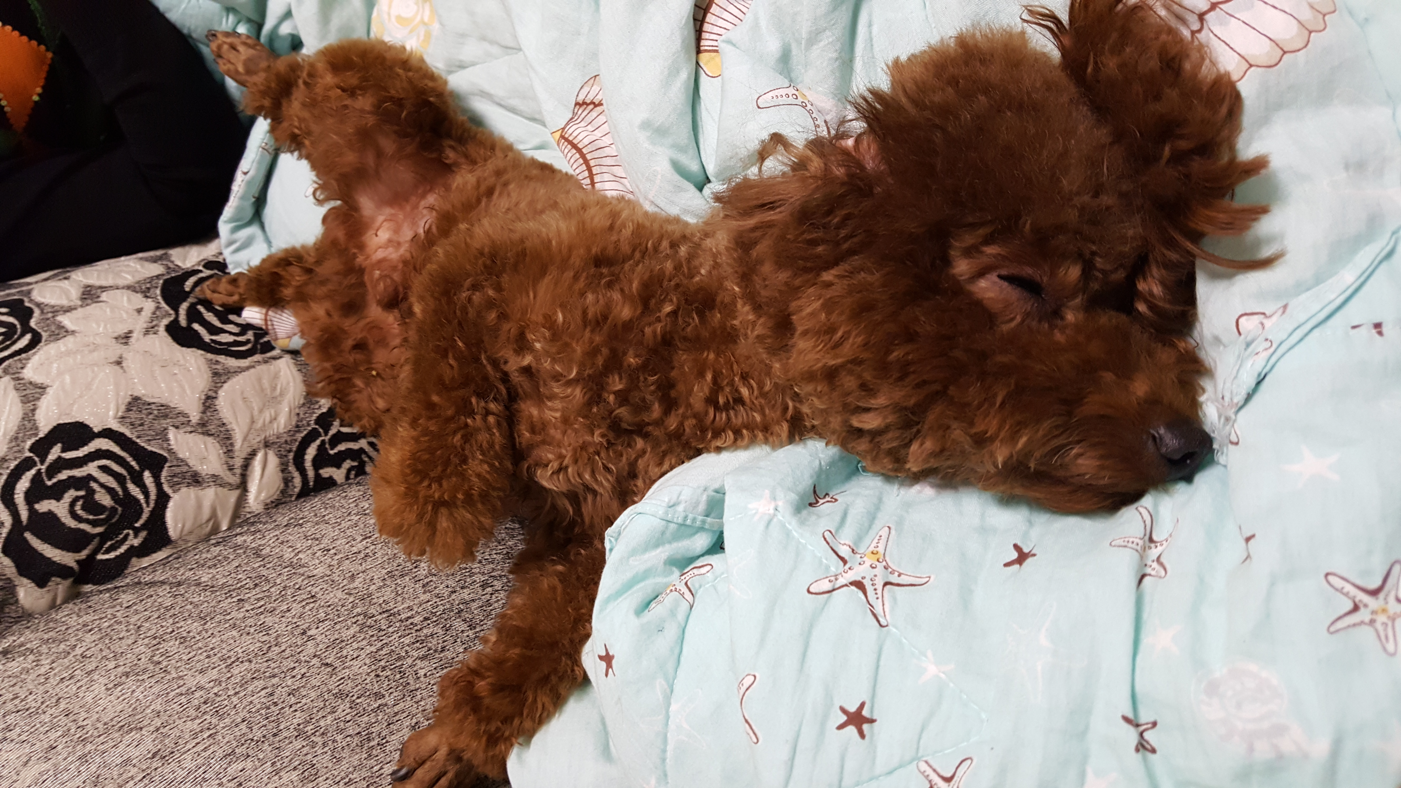 不点儿日记之四：不点儿拉屎撒尿那些事儿