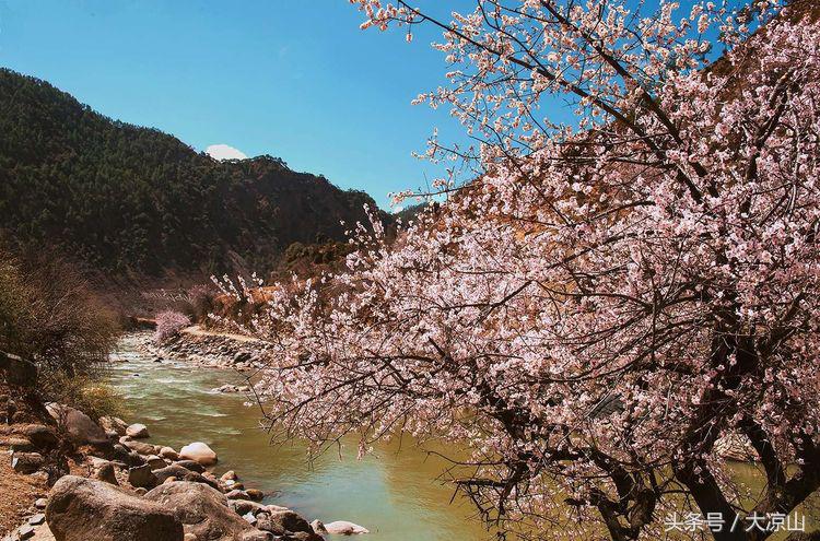 甘孜丹巴美女谷,甘孜藏族自治州美人谷