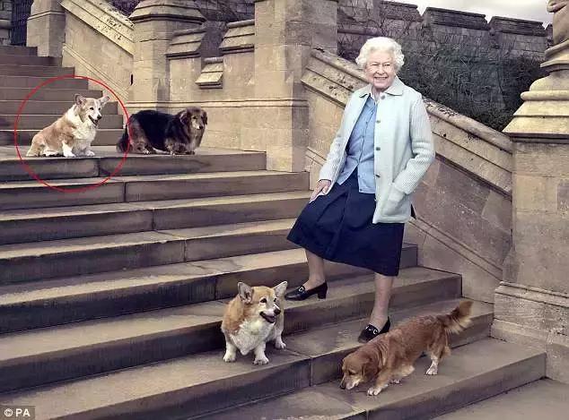 快读英国｜剑桥大学博士残忍*暴强**两女，只为实现*力暴**幻想