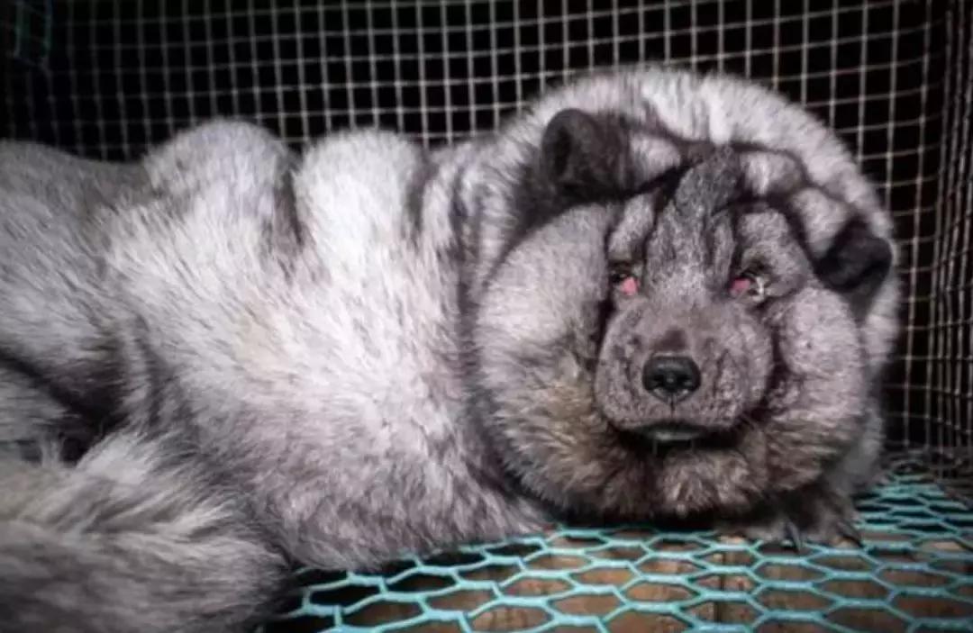 快读英国｜剑桥大学博士残忍*暴强**两女，只为实现*力暴**幻想