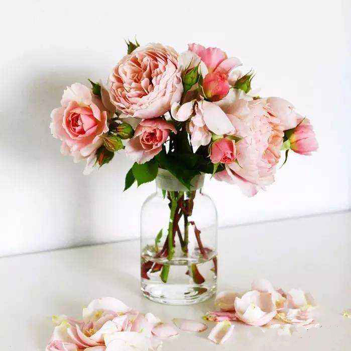 绣球鲜切花如何采后处理,鲜切花枯萎是什么原因