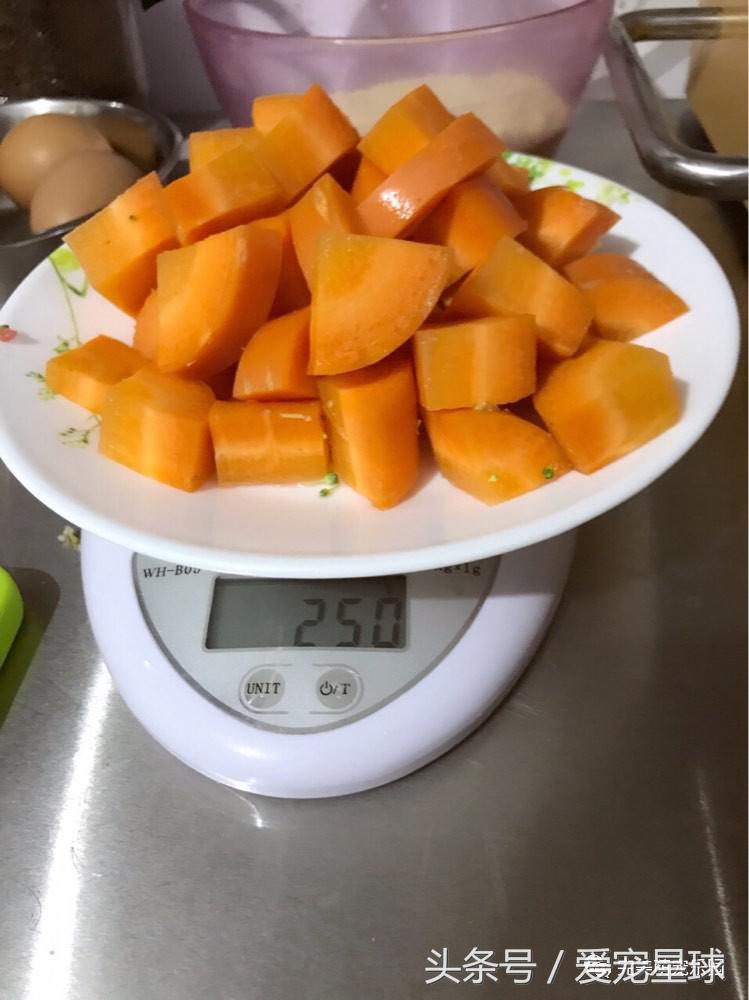 幼犬狗粮自制狗粮教程,怎么给狗自制狗粮器