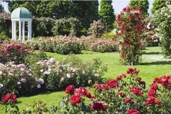 那些震惊的泰国影片,泰国之最你知道的几个