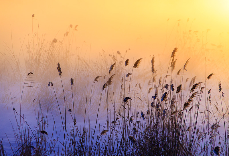 色彩的对比与和谐,色彩存在的对比关系