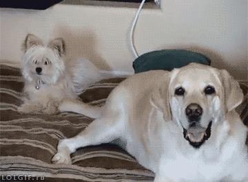 开始做微商代购文案,微商代购朋友圈走心文案