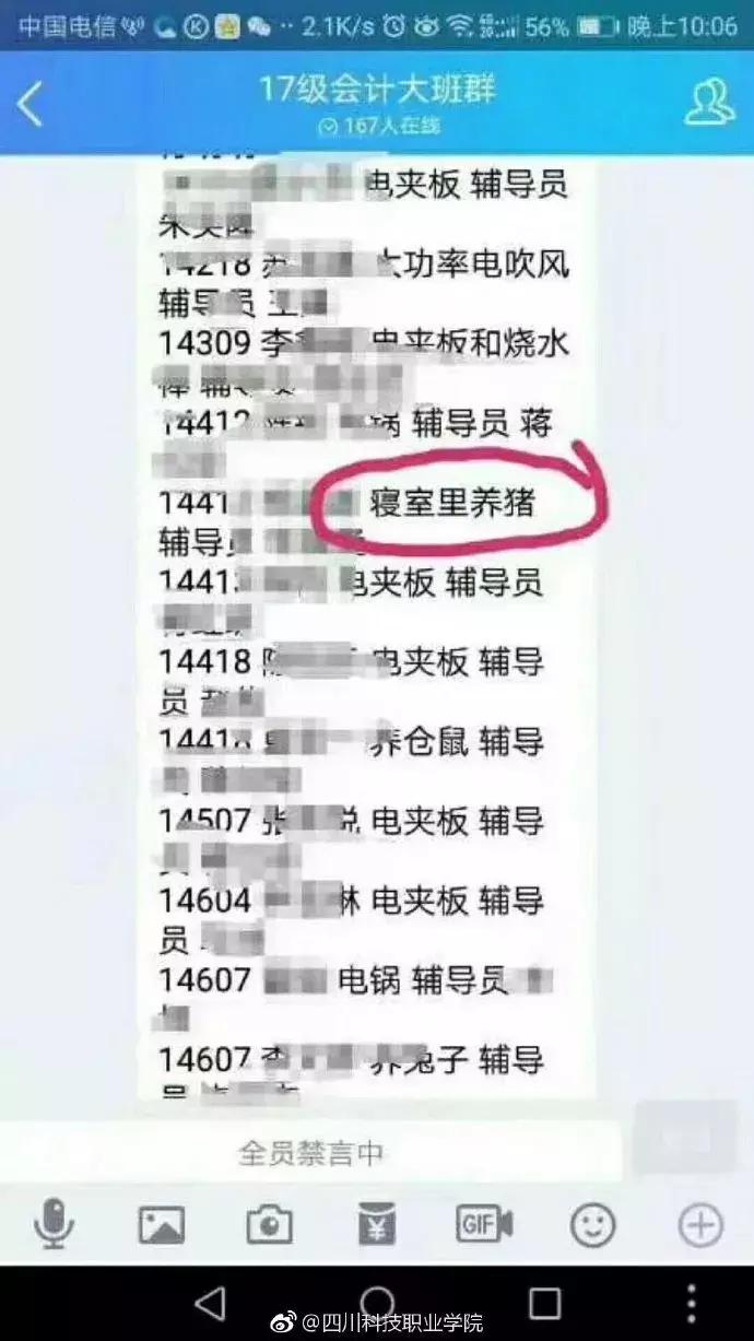 民生｜“小猪佩奇”出事了！大学生寝室养猪被通报，学校：快送走！