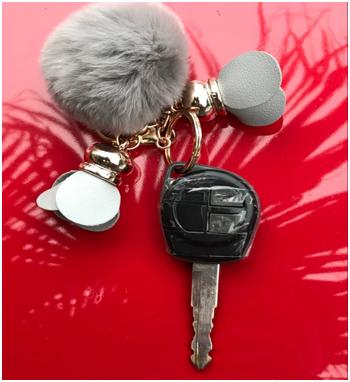 怎么识别老车雨燕好不好,雨燕检测