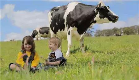 一秒看懂奶粉,带你了解更多配方奶粉