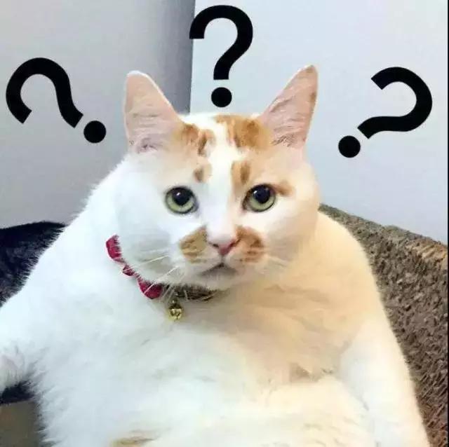 女生背2万元的包,带一个gucci包回国需要交税么