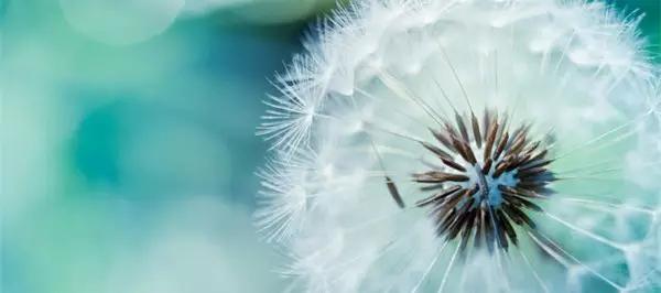 12个经典的中国民间故事全12册,12个经典的中国民间故事