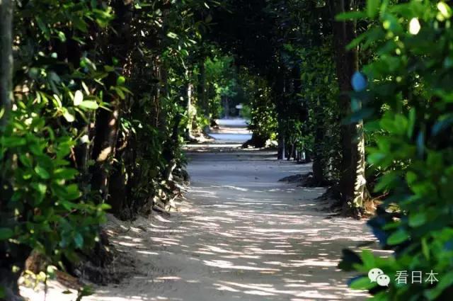 冲绳游玩,冲绳游玩攻略视频