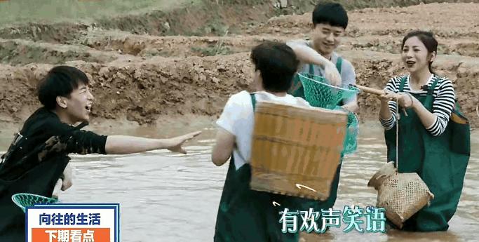 向往的生活不能投屏吗,向往的生活不继续录的原因