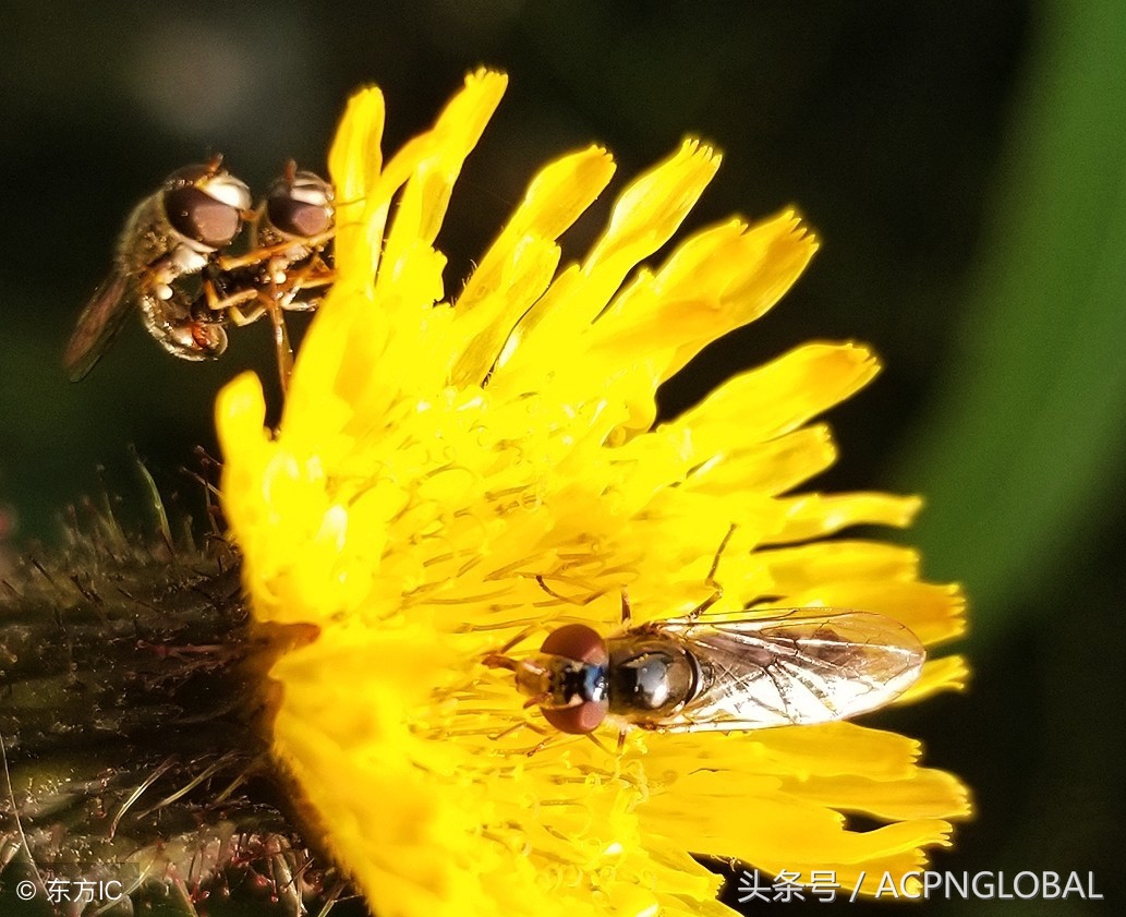 觅甜记东营,觅甜记怎么样