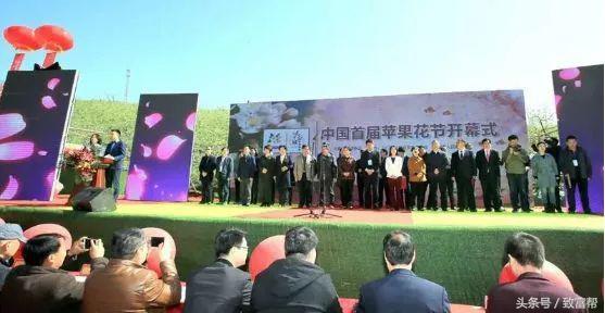 过去热门的免费致富点子,过去有哪些致富好项目