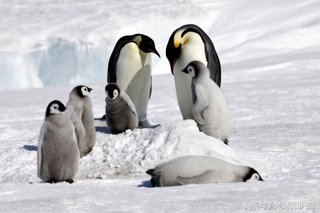 去一趟美国有多难,去一趟多伦多要准备什么