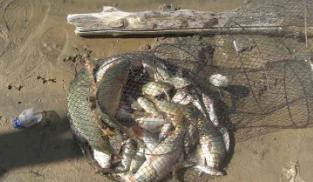 广西南宁钓鱼钓点,广西最新钓鱼技巧