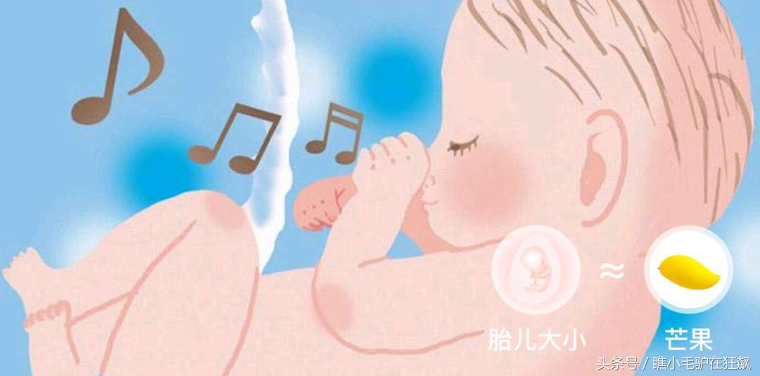 孕期宝宝变化的视频,妊娠第28周胎儿变化