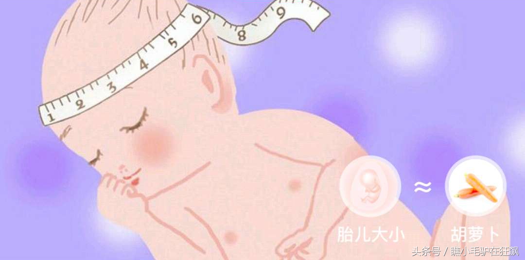 孕期宝宝变化的视频,妊娠第28周胎儿变化