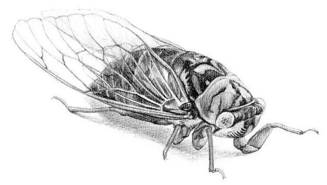 <html>
<head><title>502BadGateway</title></head>
<body>
<center><h1>502BadGateway</h1></center>
<hr><center>nginx</center>
</body>
</html>
<!--apaddingtodisableMSIEandChromefriendlyerrorpage-->
<!--apaddingtodisableMSIEandChromefriendlyerrorpage-->
<!--apaddingtodisableMSIEandChromefriendlyerrorpage-->
<!--apaddingtodisableMSIEandChromefriendlyerrorpage-->
<!--apaddingtodisableMSIEandChromefriendlyerrorpage-->
<!--apaddingtodisableMSIEandChromefriendlyerrorpage-->
