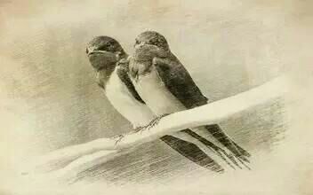 <html>
<head><title>502BadGateway</title></head>
<body>
<center><h1>502BadGateway</h1></center>
<hr><center>nginx</center>
</body>
</html>
<!--apaddingtodisableMSIEandChromefriendlyerrorpage-->
<!--apaddingtodisableMSIEandChromefriendlyerrorpage-->
<!--apaddingtodisableMSIEandChromefriendlyerrorpage-->
<!--apaddingtodisableMSIEandChromefriendlyerrorpage-->
<!--apaddingtodisableMSIEandChromefriendlyerrorpage-->
<!--apaddingtodisableMSIEandChromefriendlyerrorpage-->
