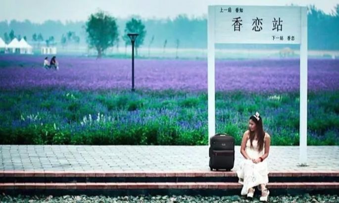 农庄会员营销方案策划模板,亲子农庄入门升级干货