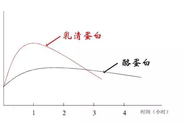 瘦子吃增肌粉还是蛋白质粉效果好,瘦子增肌适合吃增肌粉还是蛋白粉