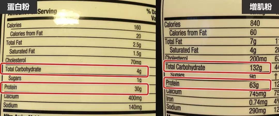 瘦子吃增肌粉还是蛋白质粉效果好,瘦子增肌适合吃增肌粉还是蛋白粉