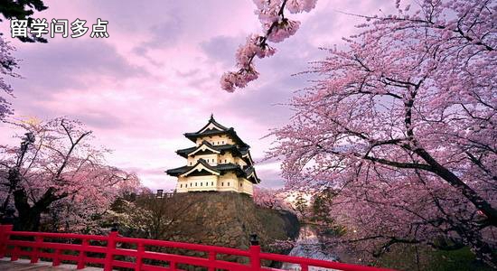 去日本需要钱包吗,去日本要准备钱包吗