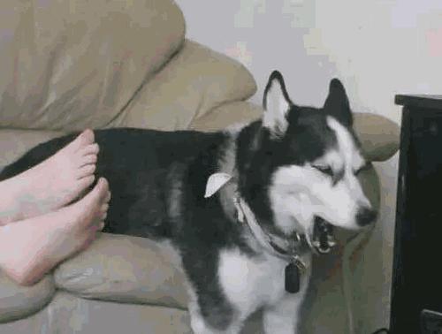 十篇被疯转的健康文章，转给亲友当新年礼物，超赞的！