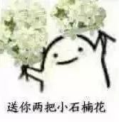 大学校园里面的石楠花,复旦石楠花