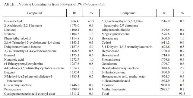 大学校园里面的石楠花,复旦石楠花