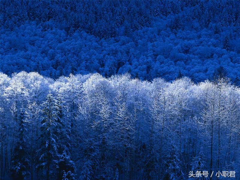 很现实的校园笑话段子大全,校园笑话大全爆笑文字