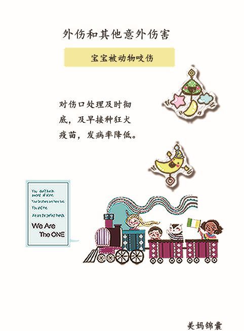 野外被动物咬伤的处理方法,被小动物咬伤的伤口怎么处理