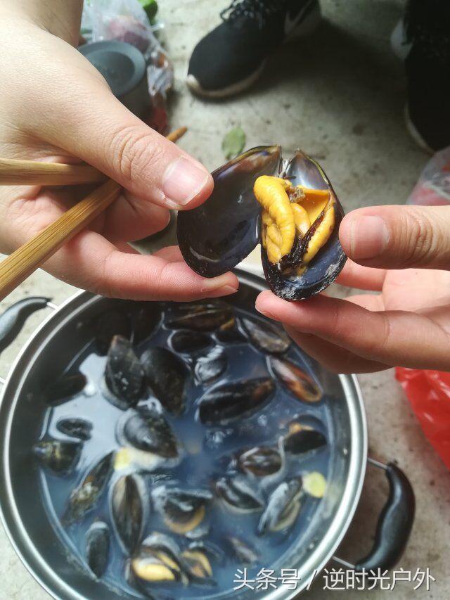 三叠井国家森林公园之旅