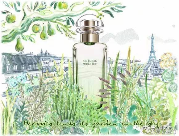 十大最好闻的香水爱马仕,爱马仕哪款香水值得推荐