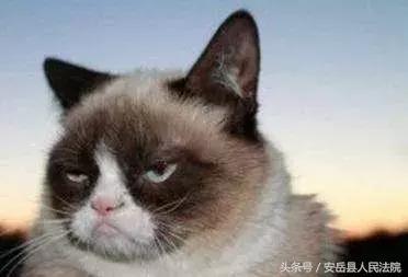 寻“你”三生三世,许“你”十里桃花