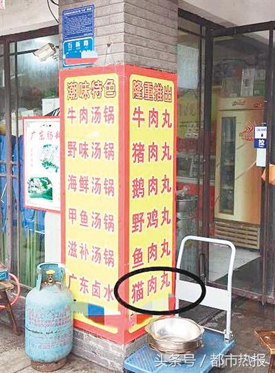 石桥铺一餐馆卖*肉猫**丸子？店家：是前任老板的招牌